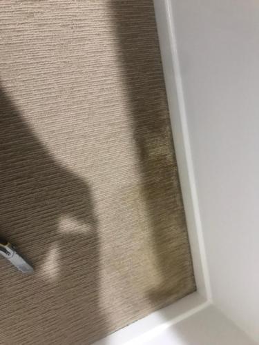 WhatsApp Image 2020-08-21 at 10.18.01 AM (2)