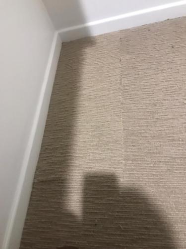 WhatsApp Image 2020-08-21 at 10.18.02 AM