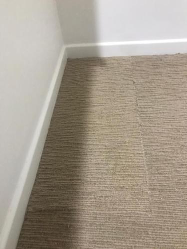 WhatsApp Image 2020-08-21 at 10.18.02 AM (1)