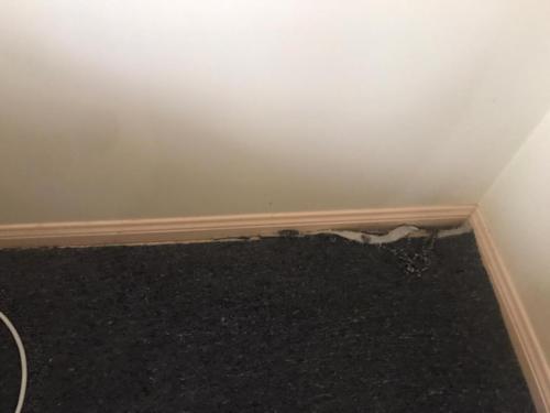 WhatsApp Image 2020-08-21 at 10.18.34 AM (2)