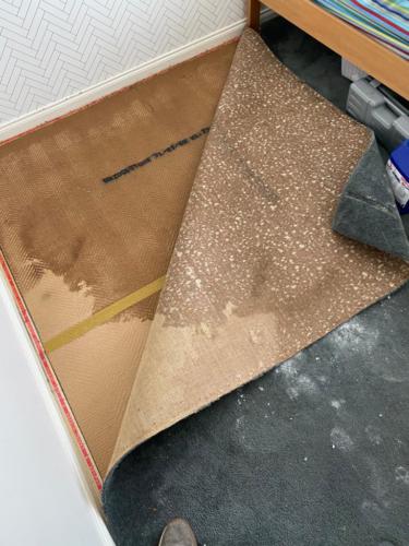 WhatsApp Image 2020-08-21 at 10.19.39 AM