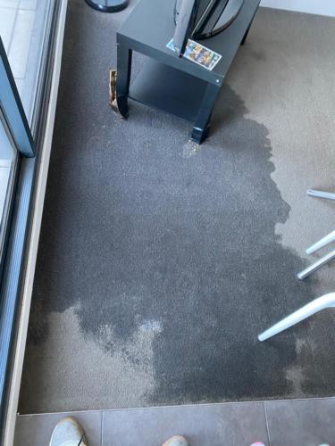 WhatsApp Image 2020-08-21 at 10.19.40 AM (1)