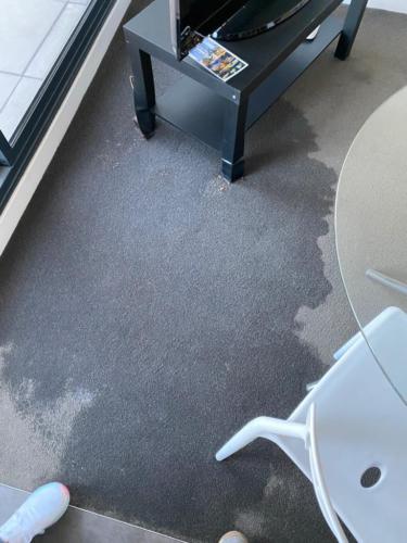 WhatsApp Image 2020-08-21 at 10.19.40 AM (2)