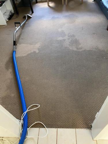 WhatsApp Image 2020-08-21 at 10.19.41 AM (3)