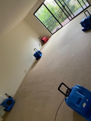 WhatsApp Image 2020-08-21 at 10.19.43 AM