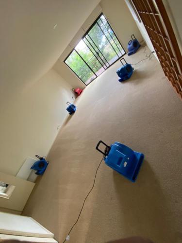 WhatsApp Image 2020-08-21 at 10.19.43 AM (1)