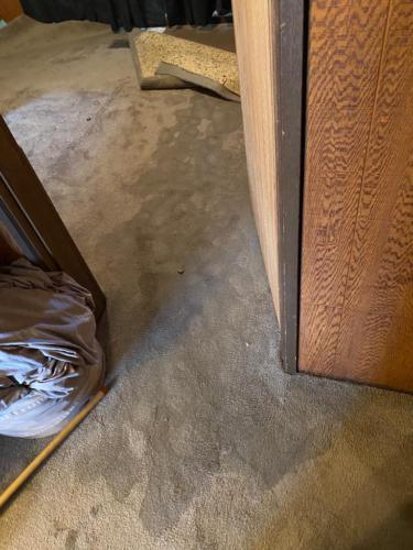 WhatsApp Image 2020-08-21 at 10.19.43 AM (2)