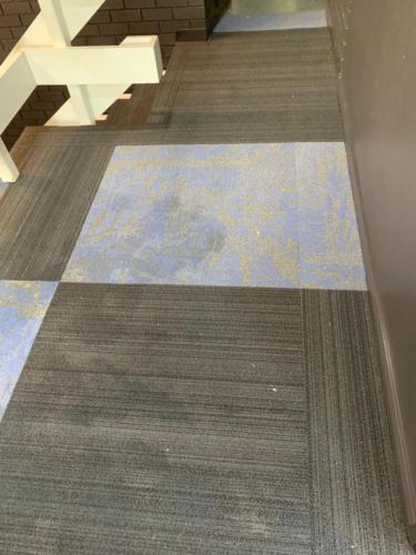 WhatsApp Image 2020-08-21 at 10.19.44 AM (1)