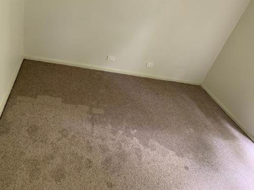 WhatsApp Image 2020-08-21 at 10.19.46 AM