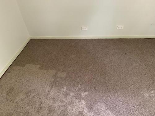 WhatsApp Image 2020-08-21 at 10.19.46 AM (1)