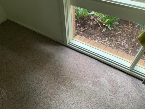 WhatsApp Image 2020-08-21 at 10.19.46 AM (2)