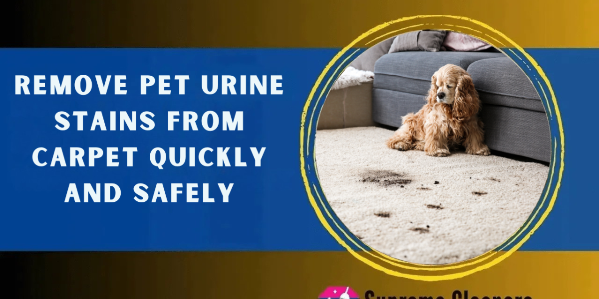 Remove Pet Urine Stains from Carpet Quickly and Safely