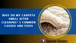 Why Do My Carpets Smell After Cleaning? 5 Common Causes and Fixes